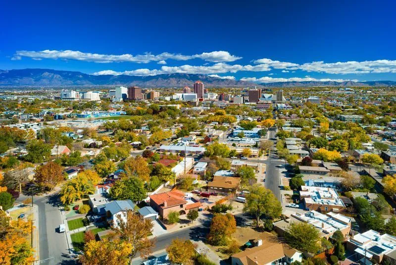 Aerial view of a suburban neighborhood with tree-lined streets and a distant city skyline under a blue sky