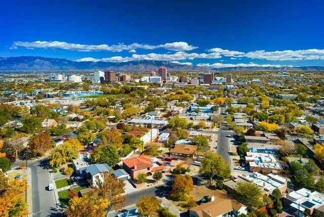 Aerial view of a suburban neighborhood with tree-lined streets and a distant city skyline under a blue sky
