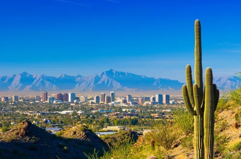 Desert city skyline with mountains in the distance and a tall saguaro cactus in the foreground