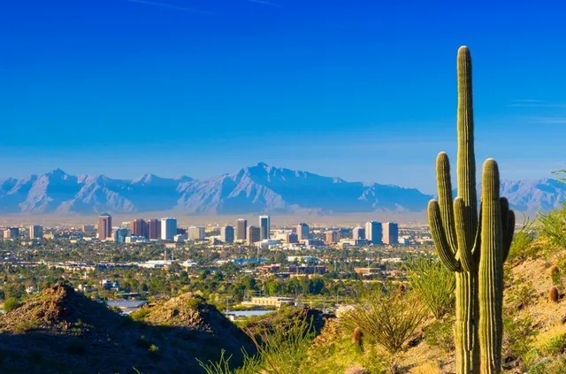 Desert city skyline with mountains in the distance and a tall saguaro cactus in the foreground